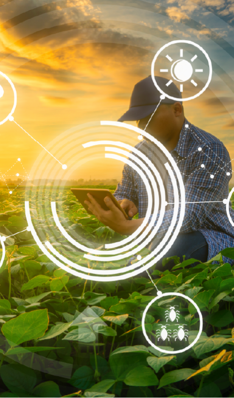 Agricultura Regenerativa 4.0: Innovación e Inteligencia Artificial