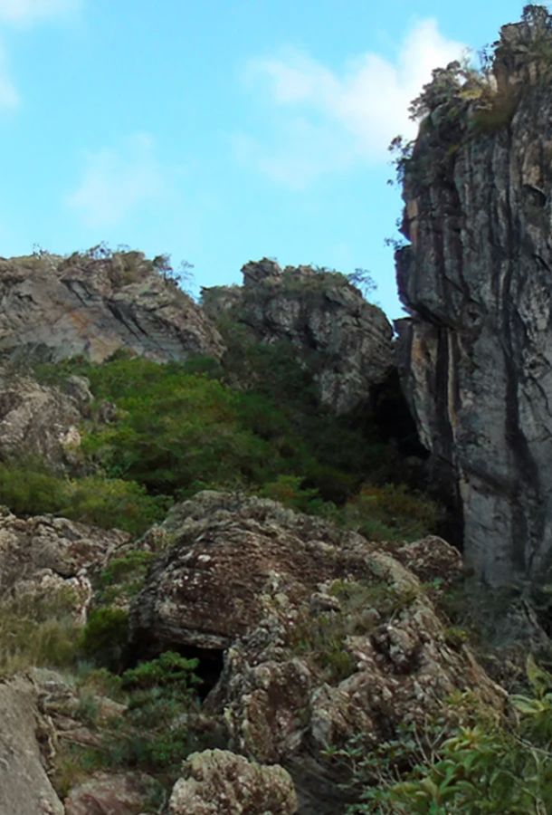 Evidencias de vida microbial en el interior de la corteza terrestre