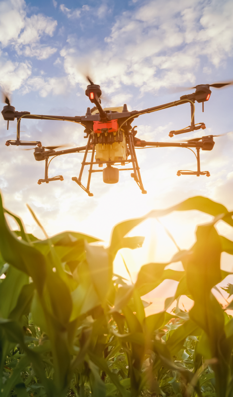 Aplicaciones de los Drones en Agronegocios